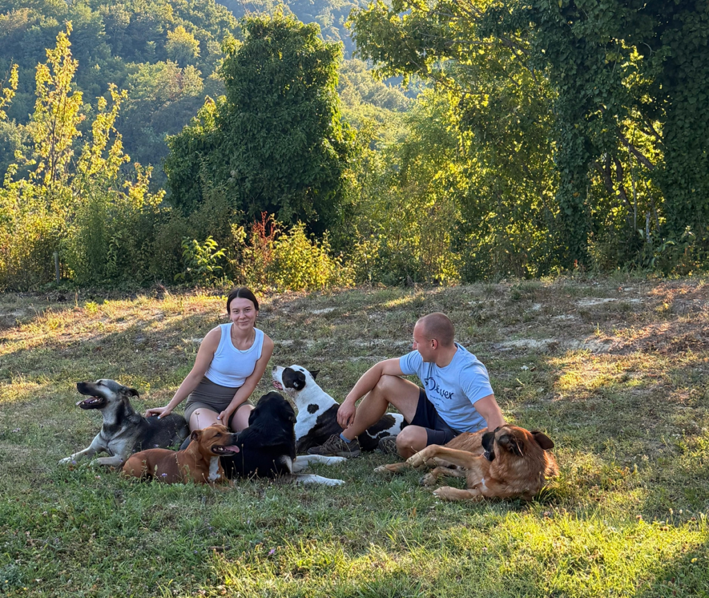 dadogs