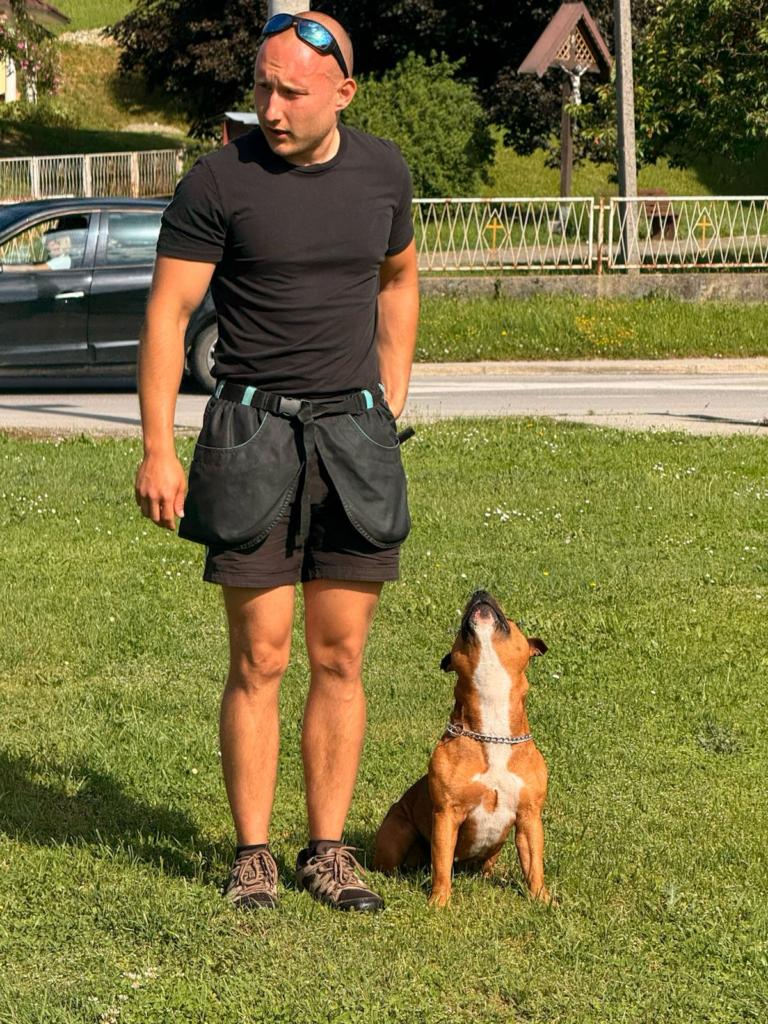 dadogs 25
