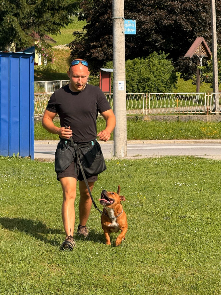 dadogs 4