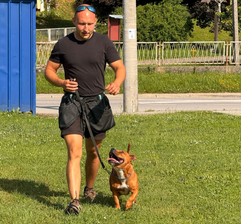 dadogs 50
